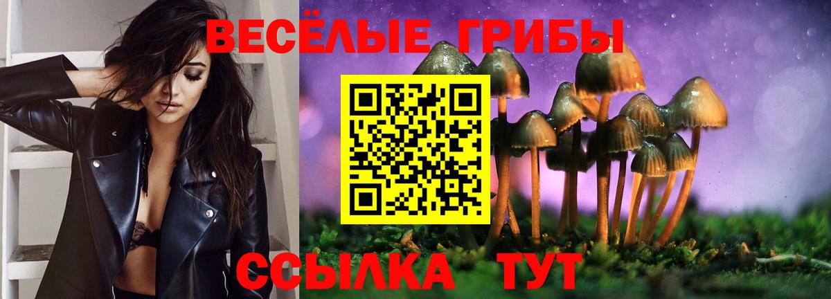 Галлюциногенные грибы Magic Shrooms  Вход с VPN  Бердск 